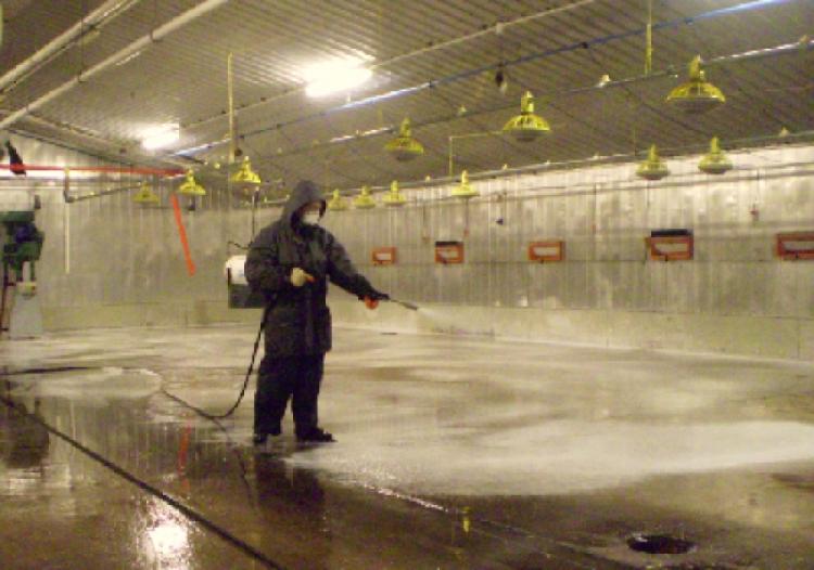 Biosecurity