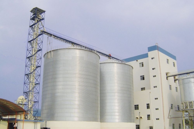 Feed Industry